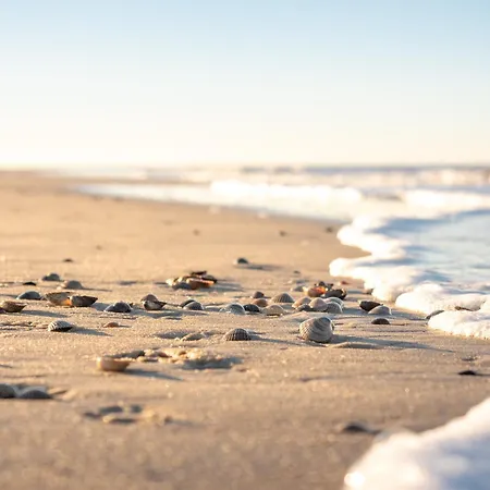 Διαμέρισμα Strandhaus 5 Dg