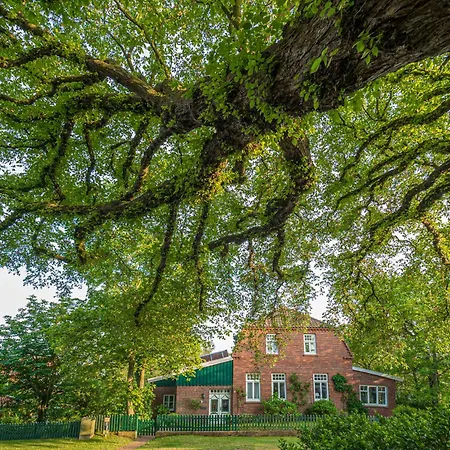 Strandhaus 5 Dg Spiekeroog