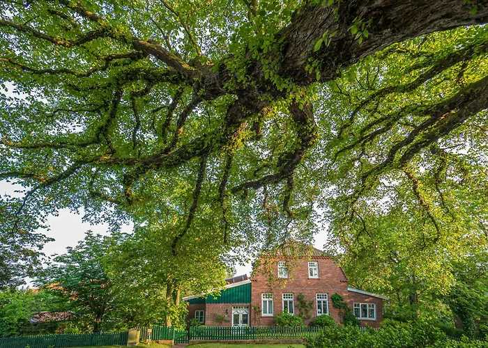 Strandhaus 5 Dg Шпикерог